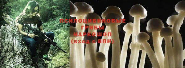 гашишное масло Аркадак