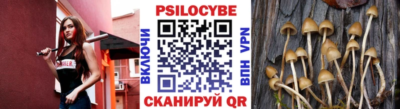 купить наркотики цена  Салаир  маркетплейс наркотические препараты  Псилоцибиновые грибы мицелий 